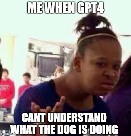 Bruh | ME WHEN GPT4; CANT UNDERSTAND WHAT THE DOG IS DOING | image tagged in bruh | made w/ Imgflip meme maker