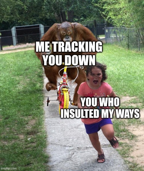 Orangutan chasing girl on a tricycle | ME TRACKING YOU DOWN YOU WHO INSULTED MY WAYS | image tagged in orangutan chasing girl on a tricycle | made w/ Imgflip meme maker