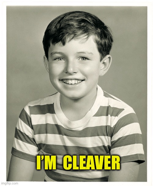 I’M  CLEAVER | made w/ Imgflip meme maker