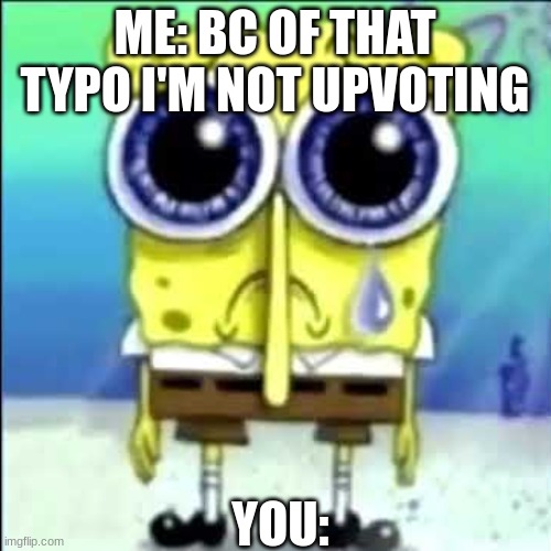 Sad Spongebob | ME: BC OF THAT TYPO I'M NOT UPVOTING YOU: | image tagged in sad spongebob | made w/ Imgflip meme maker