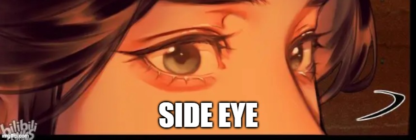 xie lian | SIDE EYE | image tagged in funny | made w/ Imgflip meme maker