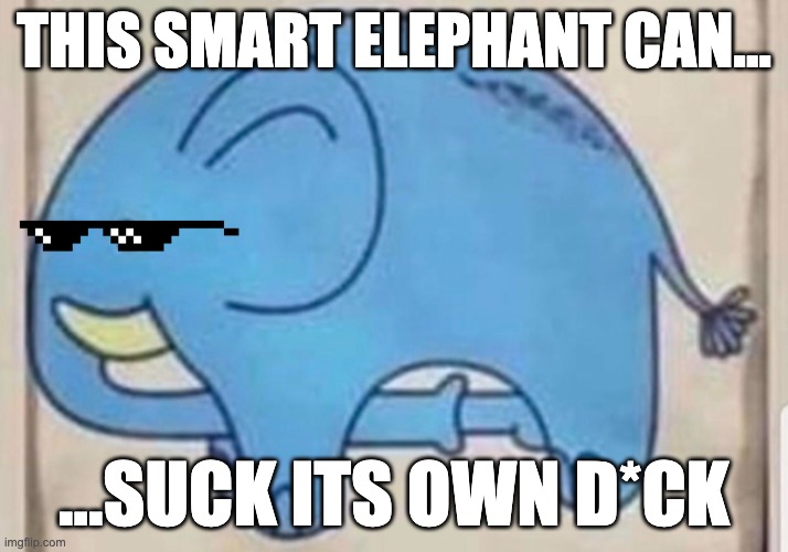 This Elephant can... | THIS SMART ELEPHANT CAN... ...SUCK ITS OWN D*CK | image tagged in elephant sucking itself | made w/ Imgflip meme maker