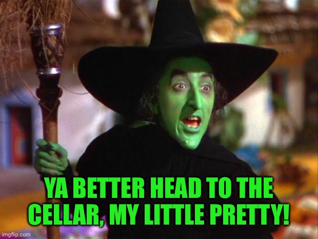 Wicked Witch | YA BETTER HEAD TO THE CELLAR, MY LITTLE PRETTY! | image tagged in wicked witch | made w/ Imgflip meme maker