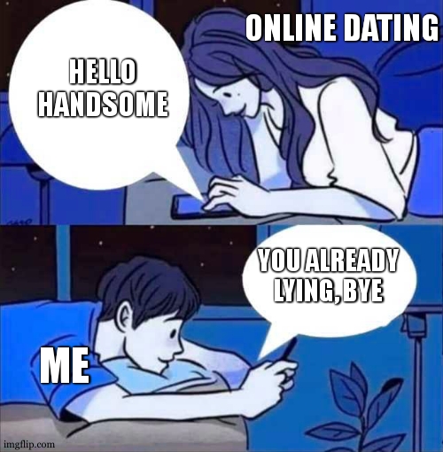 okay then | ONLINE DATING; HELLO HANDSOME; YOU ALREADY LYING, BYE; ME | image tagged in boy and girl texting | made w/ Imgflip meme maker