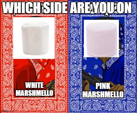 which side are you on | WHICH SIDE ARE YOU ON; PINK MARSHMELLO; WHITE MARSHMELLO | image tagged in which side are you on,funny,relatable,memes | made w/ Imgflip meme maker