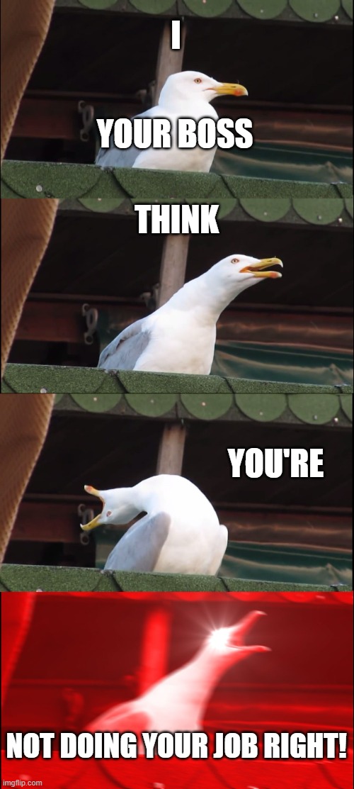 Meme | I; YOUR BOSS; THINK; YOU'RE; NOT DOING YOUR JOB RIGHT! | image tagged in memes,inhaling seagull | made w/ Imgflip meme maker