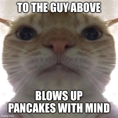 Staring Cat/Gusic | TO THE GUY ABOVE; BLOWS UP PANCAKES WITH MIND | image tagged in staring cat/gusic | made w/ Imgflip meme maker