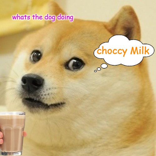 Doge Meme | whats the dog doing; choccy Milk | image tagged in memes,doge | made w/ Imgflip meme maker