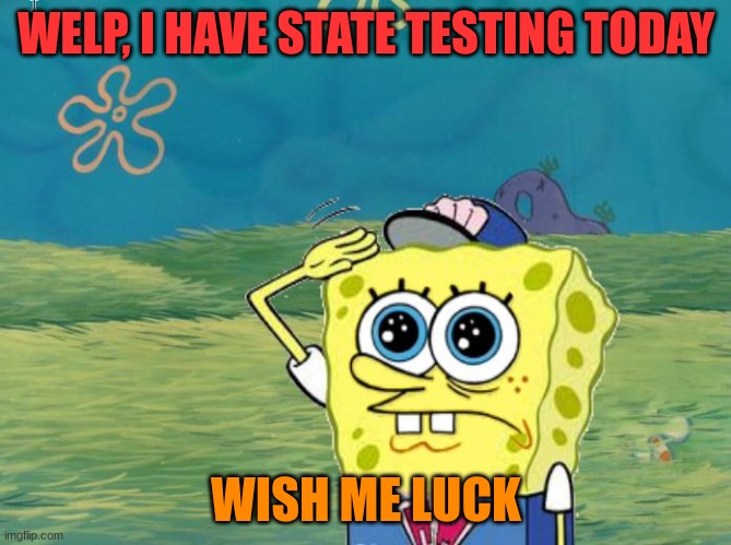 my mom said this as i walked out the door, "dont waste my time or my money" so i better excel | WELP, I HAVE STATE TESTING TODAY; WISH ME LUCK | image tagged in spongebob salute | made w/ Imgflip meme maker