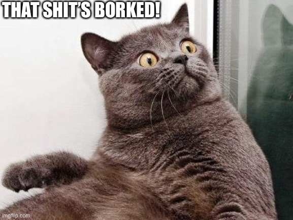 Surprised cat | THAT SHIT’S BORKED! | image tagged in surprised cat | made w/ Imgflip meme maker