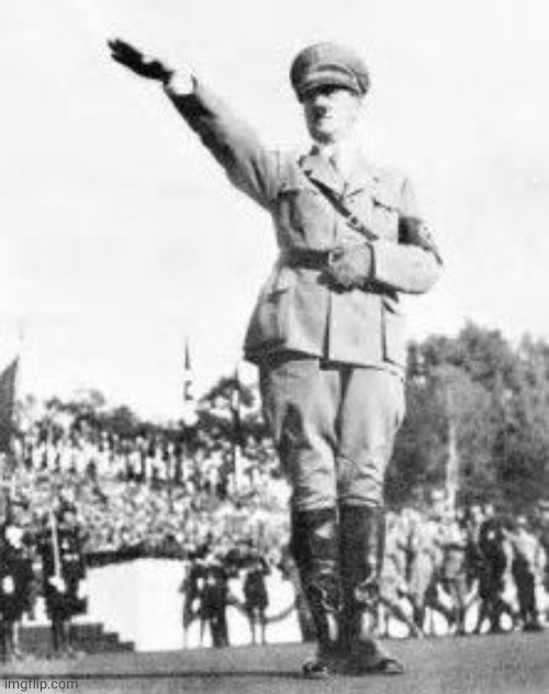 Hitler Salut | image tagged in hitler salut | made w/ Imgflip meme maker