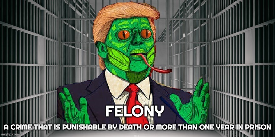 F E L O N Y | FELONY; A CRIME THAT IS PUNISHABLE BY DEATH OR MORE THAN ONE YEAR IN PRISON | image tagged in felony,prison,punishment,crime,criminal offense,law-breaking | made w/ Imgflip meme maker