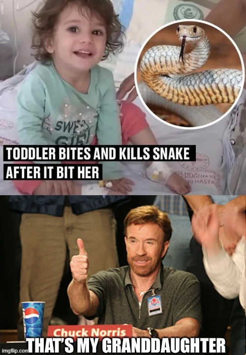 Instant karma | image tagged in memes,chuck norris approves,karma | made w/ Imgflip meme maker
