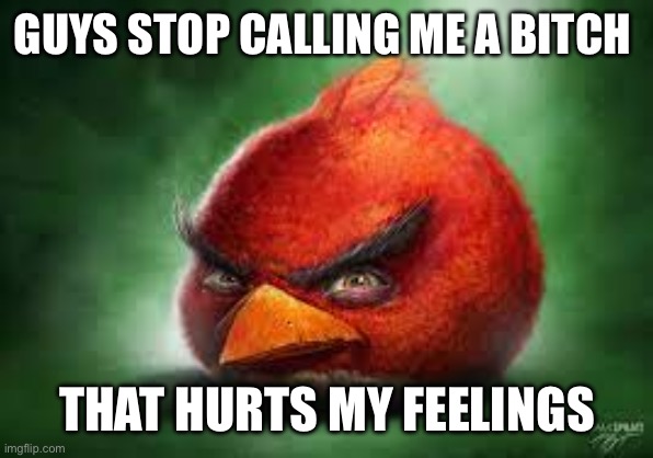 Realistic Red Angry Birds | GUYS STOP CALLING ME A BITCH; THAT HURTS MY FEELINGS | image tagged in realistic red angry birds | made w/ Imgflip meme maker