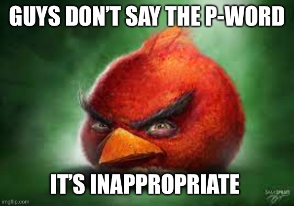 Realistic Red Angry Birds | GUYS DON’T SAY THE P-WORD; IT’S INAPPROPRIATE | image tagged in realistic red angry birds | made w/ Imgflip meme maker