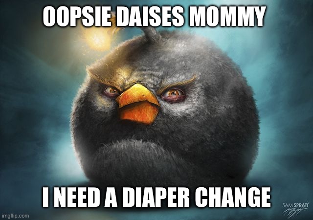 angry birds bomb | OOPSIE DAISES MOMMY; I NEED A DIAPER CHANGE | image tagged in angry birds bomb | made w/ Imgflip meme maker