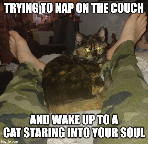 KITTY WANTS MY SOUL | TRYING TO NAP ON THE COUCH; AND WAKE UP TO A CAT STARING INTO YOUR SOUL | image tagged in cats,funny cats | made w/ Imgflip meme maker