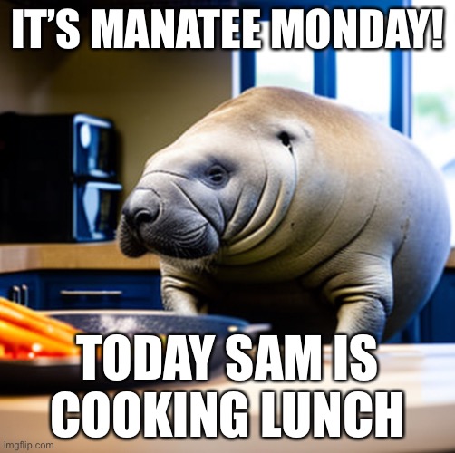 Manatee Monday 3 | IT’S MANATEE MONDAY! TODAY SAM IS COOKING LUNCH | image tagged in sam the sea cow,manatee,monday,cooking | made w/ Imgflip meme maker
