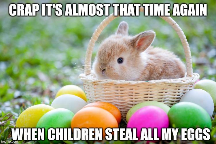 WHAT IF YOU FIND A BUNNY WHILE LOOKING FOR EGGS? | CRAP IT'S ALMOST THAT TIME AGAIN; WHEN CHILDREN STEAL ALL MY EGGS | image tagged in bunny,rabbit,eggs,easter | made w/ Imgflip meme maker