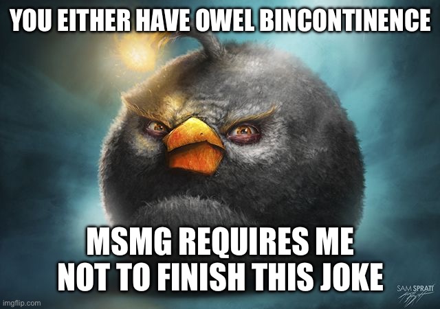 angry birds bomb | YOU EITHER HAVE OWEL BINCONTINENCE; MSMG REQUIRES ME NOT TO FINISH THIS JOKE | image tagged in angry birds bomb | made w/ Imgflip meme maker