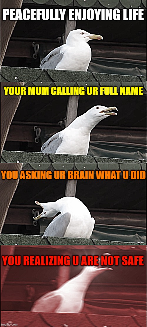 My Brain Everytime | PEACEFULLY ENJOYING LIFE; YOUR MUM CALLING UR FULL NAME; YOU ASKING UR BRAIN WHAT U DID; YOU REALIZING U ARE NOT SAFE | image tagged in memes,inhaling seagull | made w/ Imgflip meme maker