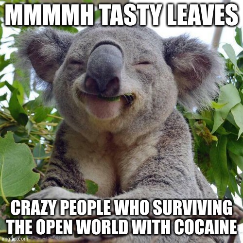 Smiling Koala | MMMMH TASTY LEAVES; CRAZY PEOPLE WHO SURVIVING THE OPEN WORLD WITH COCAINE | image tagged in smiling koala | made w/ Imgflip meme maker