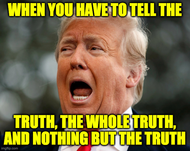 Perjury is also a felony. | WHEN YOU HAVE TO TELL THE; TRUTH, THE WHOLE TRUTH,
AND NOTHING BUT THE TRUTH | image tagged in trump scared,memes,truth,perjury | made w/ Imgflip meme maker