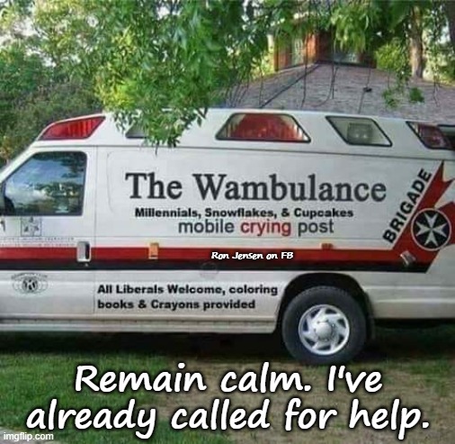 Stay Calm | Ron Jensen on FB; Remain calm. I've already called for help. | image tagged in crybaby,crying,crying baby,baby crying,crying man,crying woman | made w/ Imgflip meme maker