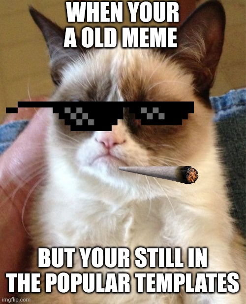 Always the classics | WHEN YOUR A OLD MEME; BUT YOUR STILL IN THE POPULAR TEMPLATES | image tagged in memes,grumpy cat | made w/ Imgflip meme maker