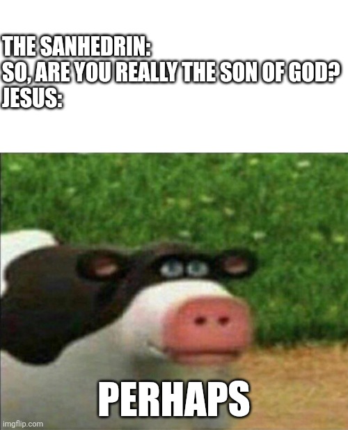 Perhaps cow | THE SANHEDRIN: SO, ARE YOU REALLY THE SON OF GOD?
JESUS:; PERHAPS | image tagged in perhaps cow,jesus | made w/ Imgflip meme maker