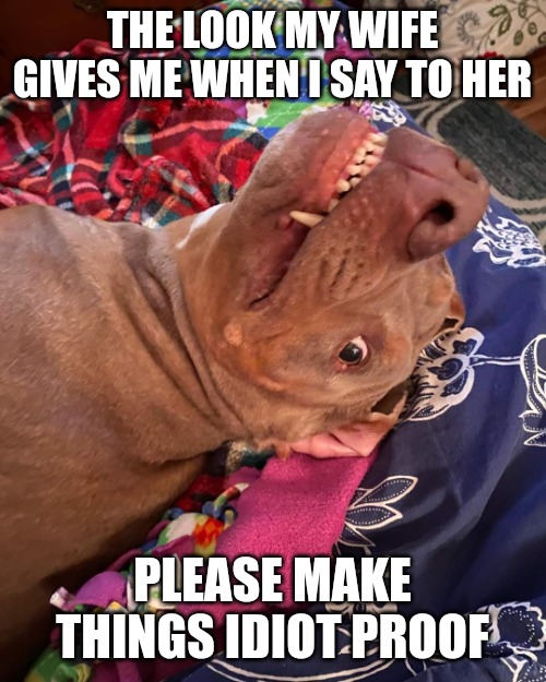 Johnny Hollywood | THE LOOK MY WIFE GIVES ME WHEN I SAY TO HER; PLEASE MAKE THINGS IDIOT PROOF | image tagged in true story dog | made w/ Imgflip meme maker
