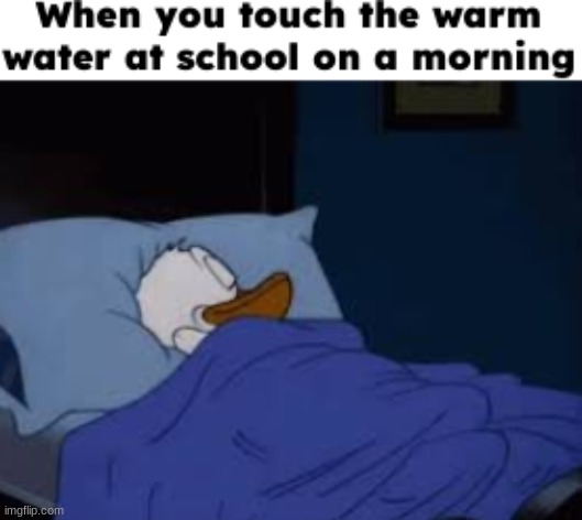 anyone relate? | image tagged in school,sleep,relatable,sleepy donald duck in bed | made w/ Imgflip meme maker