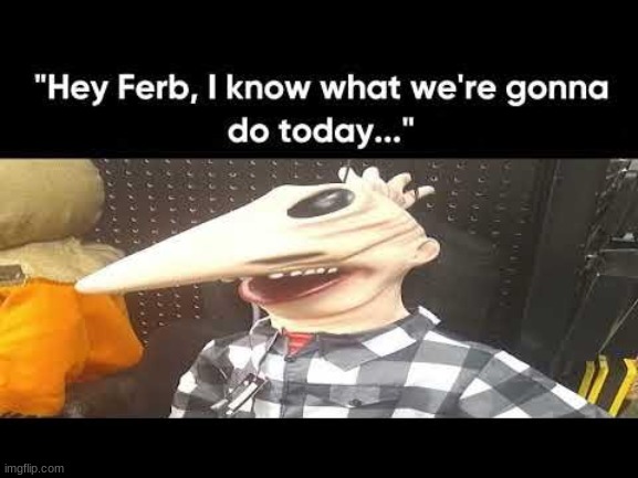 Hey Ferb, I know what we're gonna do today | image tagged in hey ferb i know what we're gonna do today | made w/ Imgflip meme maker
