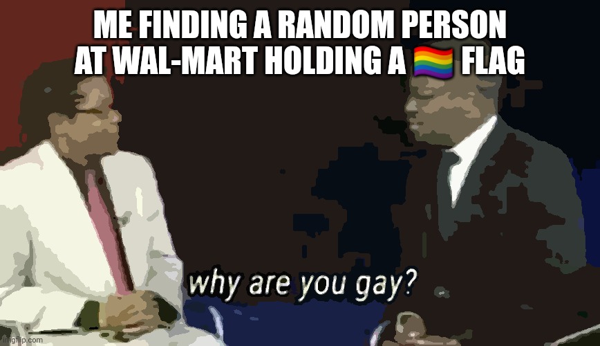 Why are you gay? | ME FINDING A RANDOM PERSON AT WAL-MART HOLDING A 🏳️‍🌈 FLAG | image tagged in why are you gay | made w/ Imgflip meme maker