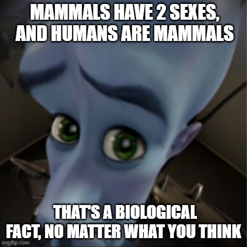 Megamind peeking | MAMMALS HAVE 2 SEXES, AND HUMANS ARE MAMMALS; THAT'S A BIOLOGICAL FACT, NO MATTER WHAT YOU THINK | image tagged in megamind peeking | made w/ Imgflip meme maker