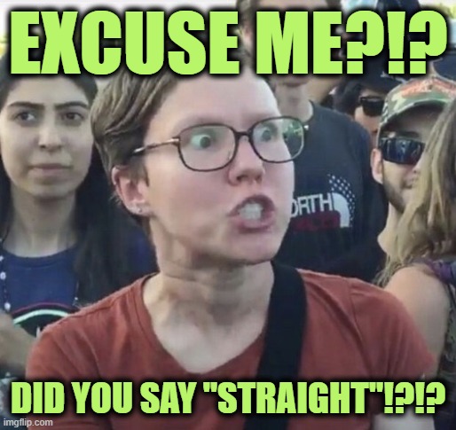 Triggered feminist | EXCUSE ME?!? DID YOU SAY "STRAIGHT"!?!? | image tagged in triggered feminist | made w/ Imgflip meme maker