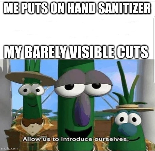 cuts | ME PUTS ON HAND SANITIZER; MY BARELY VISIBLE CUTS | image tagged in allow us to introduce ourselves | made w/ Imgflip meme maker