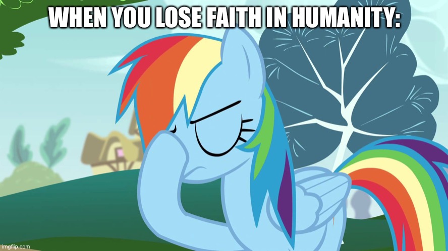 Losing faith in humanity, really | WHEN YOU LOSE FAITH IN HUMANITY: | image tagged in frustrated mlp,rainbow dash,faith in humanity,mlp fim,facepalm | made w/ Imgflip meme maker