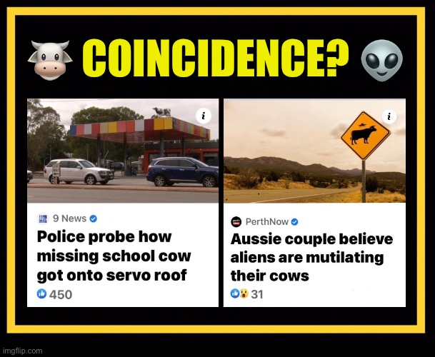 AIke s probe Aussie cows | 🐮 COINCIDENCE? 👽 | image tagged in cow,ufo,probe,alien,mystery,australia | made w/ Imgflip meme maker