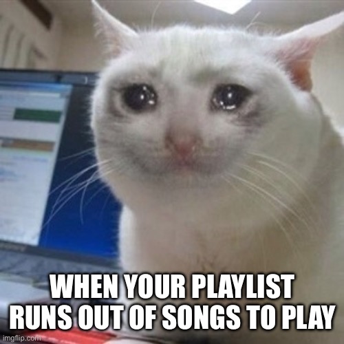 When Your Playlist Runs Out | WHEN YOUR PLAYLIST RUNS OUT OF SONGS TO PLAY | image tagged in crying cat,songs,playlist,run out,music | made w/ Imgflip meme maker