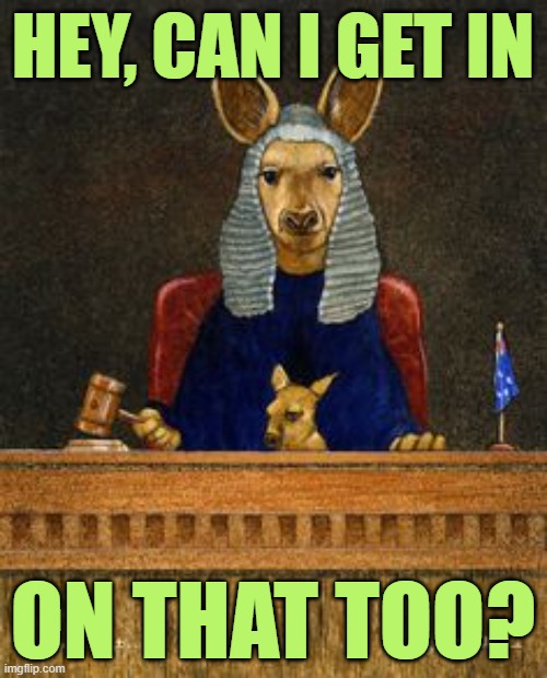 Kangaroo Court | HEY, CAN I GET IN ON THAT TOO? | image tagged in kangaroo court | made w/ Imgflip meme maker