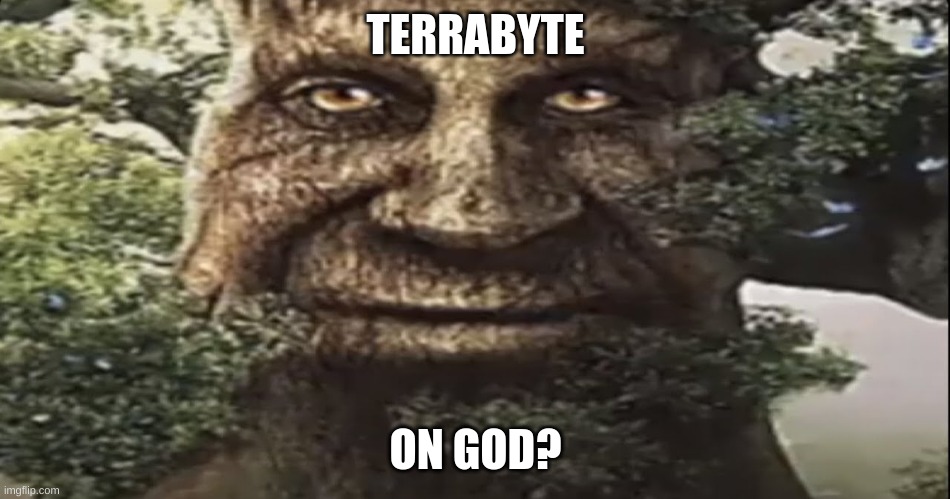 TERRABYTE ON GOD? | image tagged in wise mystical tree | made w/ Imgflip meme maker