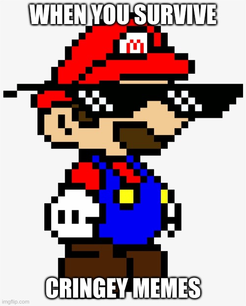 (like this one) | WHEN YOU SURVIVE; CRINGEY MEMES | image tagged in mario,paper mario | made w/ Imgflip meme maker