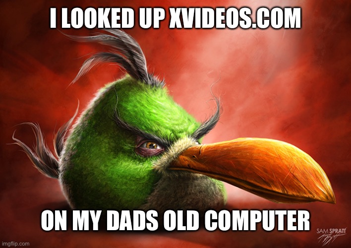 Angry Bird 4 | I LOOKED UP XVIDEOS.COM; ON MY DADS OLD COMPUTER | image tagged in angry bird 4 | made w/ Imgflip meme maker