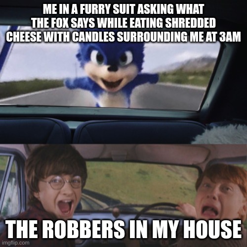 Harry and Ron scream | ME IN A FURRY SUIT ASKING WHAT THE FOX SAYS WHILE EATING SHREDDED CHEESE WITH CANDLES SURROUNDING ME AT 3AM; THE ROBBERS IN MY HOUSE | image tagged in harry and ron scream | made w/ Imgflip meme maker