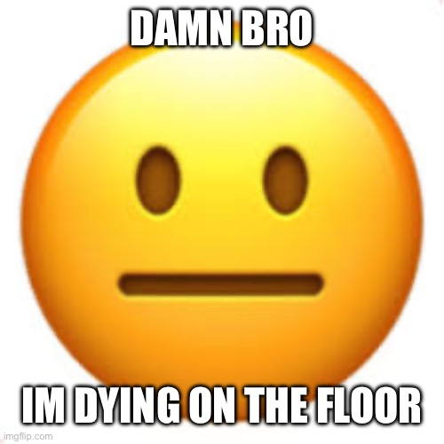 Not funny | DAMN BRO IM DYING ON THE FLOOR | image tagged in not funny | made w/ Imgflip meme maker