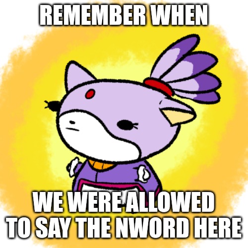 Blaze | REMEMBER WHEN; WE WERE ALLOWED TO SAY THE NWORD HERE | image tagged in blaze | made w/ Imgflip meme maker