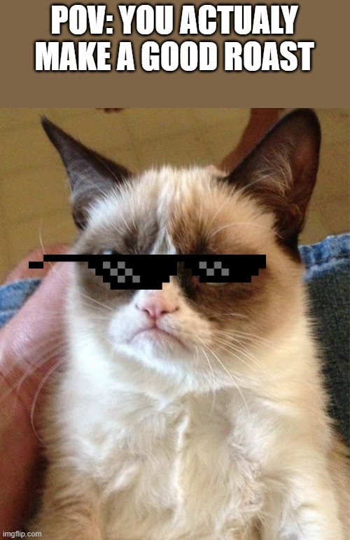 Grumpy Cat | POV: YOU ACTUALY MAKE A GOOD ROAST | image tagged in memes,grumpy cat | made w/ Imgflip meme maker