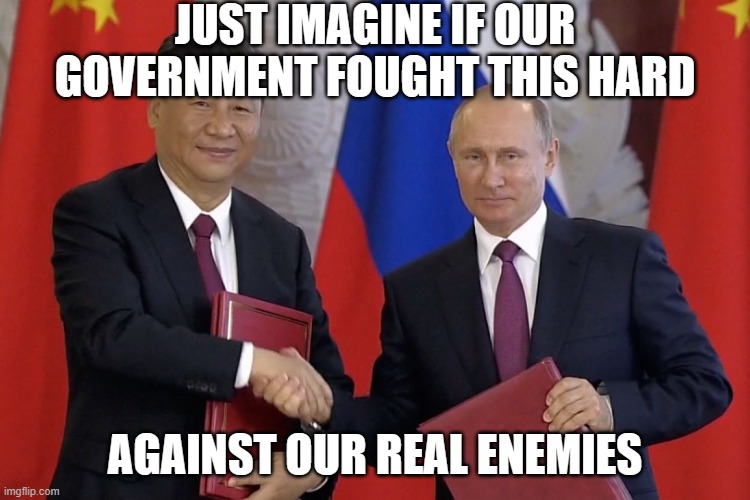 JUST IMAGINE IF OUR GOVERNMENT FOUGHT THIS HARD AGAINST OUR REAL ENEMIES | image tagged in putin and xi - russia and china are gonna tagteam the usa | made w/ Imgflip meme maker