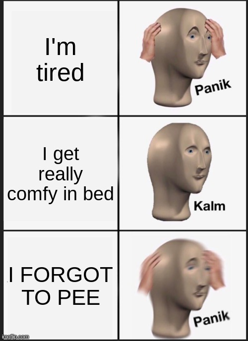 every time, every time you get comfy you always forget something. | I'm tired; I get really comfy in bed; I FORGOT TO PEE | image tagged in memes,panik kalm panik | made w/ Imgflip meme maker